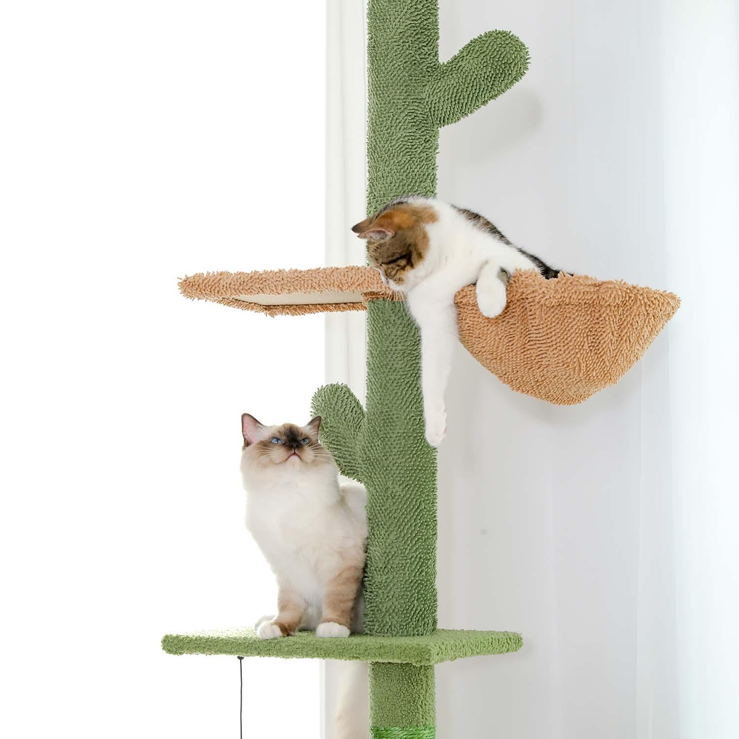 CactusTower Deckenhoher Kratzbaum 5
