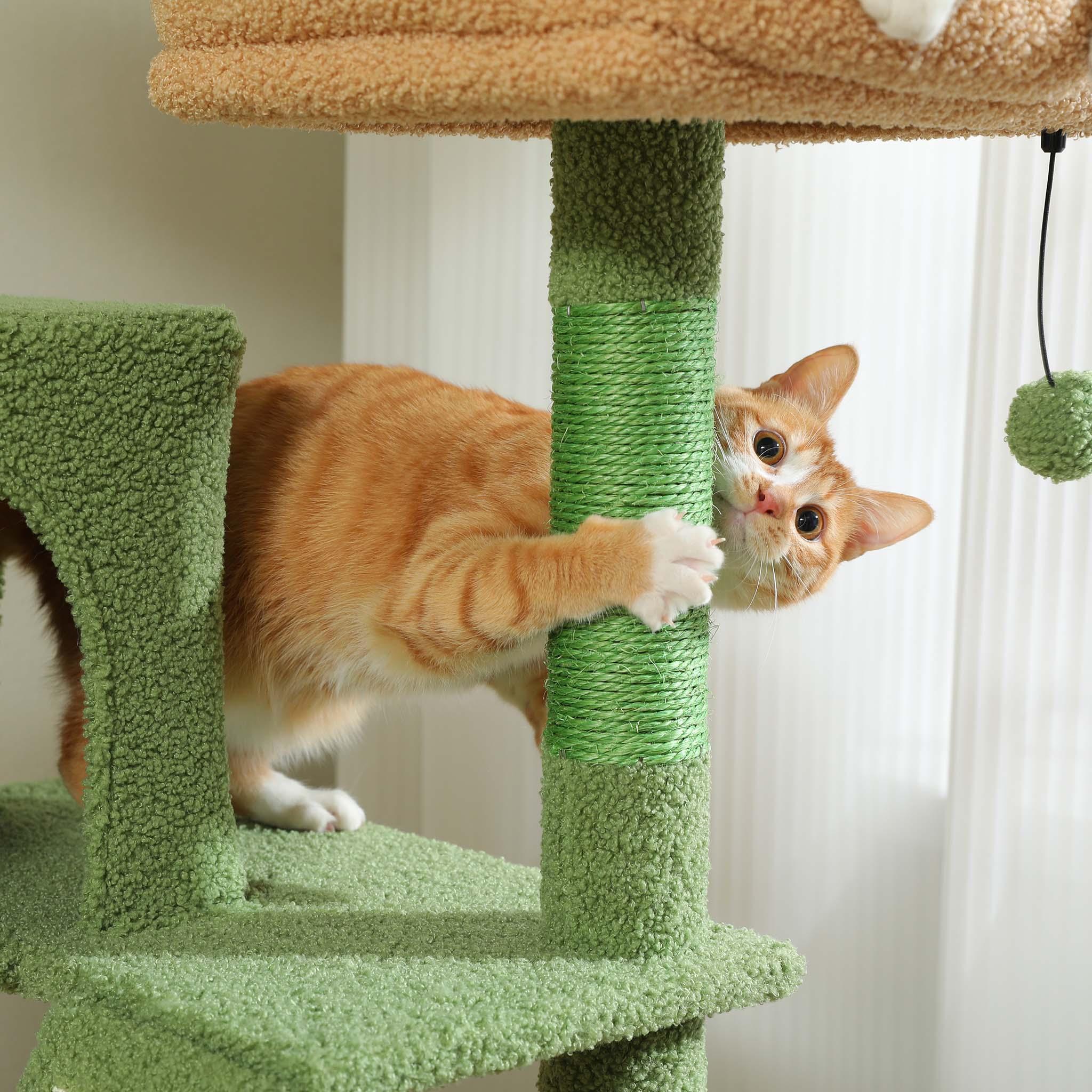 CatCastle – Großer Kratzbaum 3