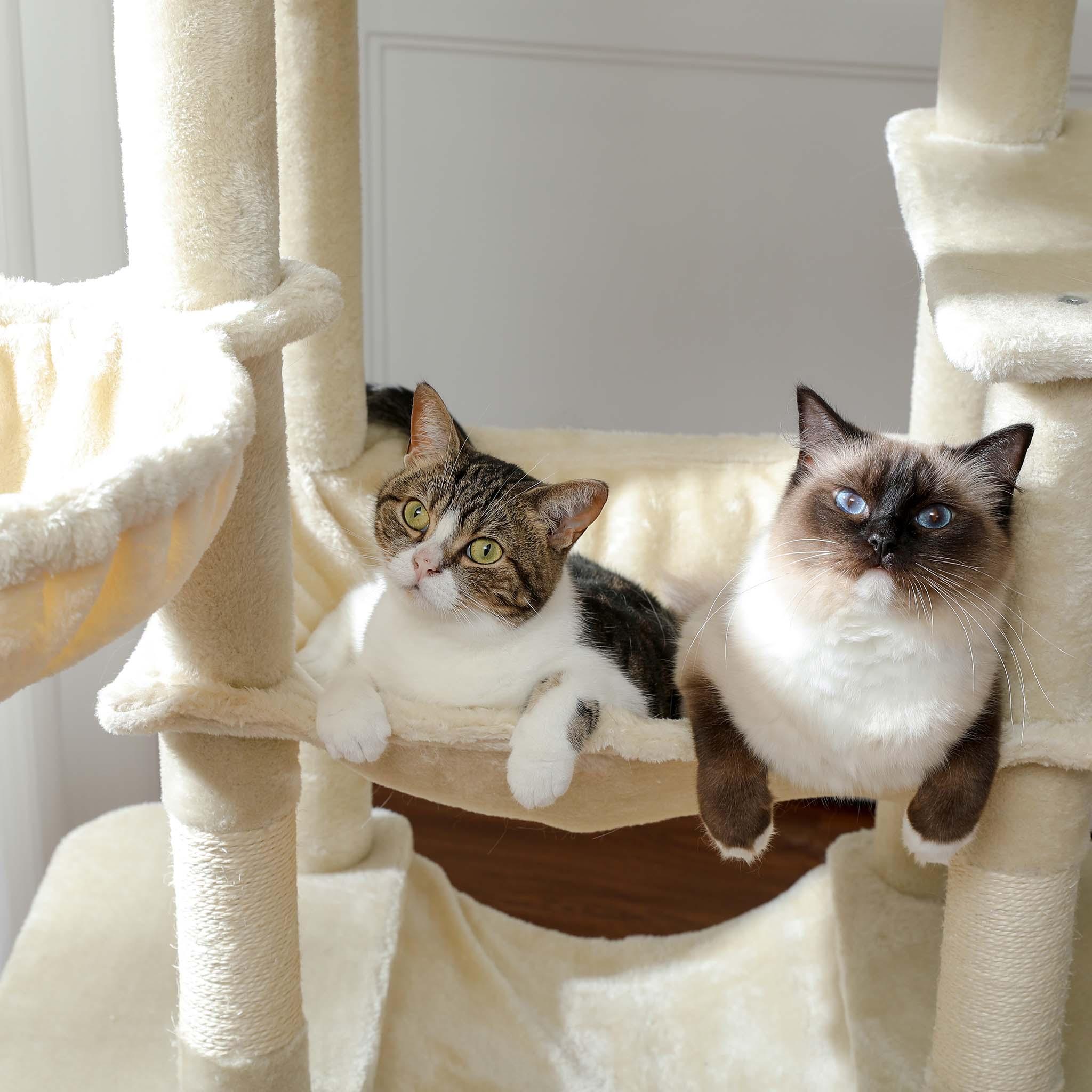 CatCastle V2 – Großer Kratzbaum 5