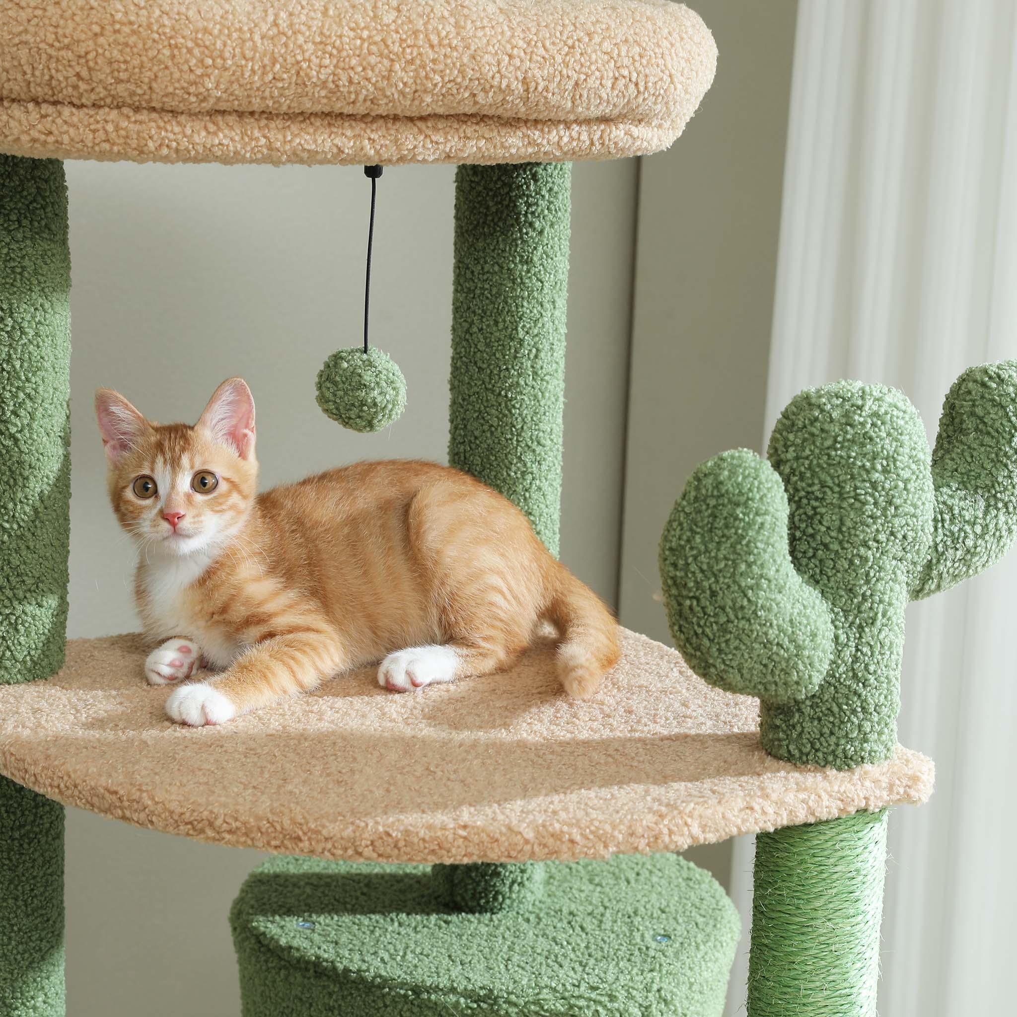 CatLife – Großer Kratzbaum 3