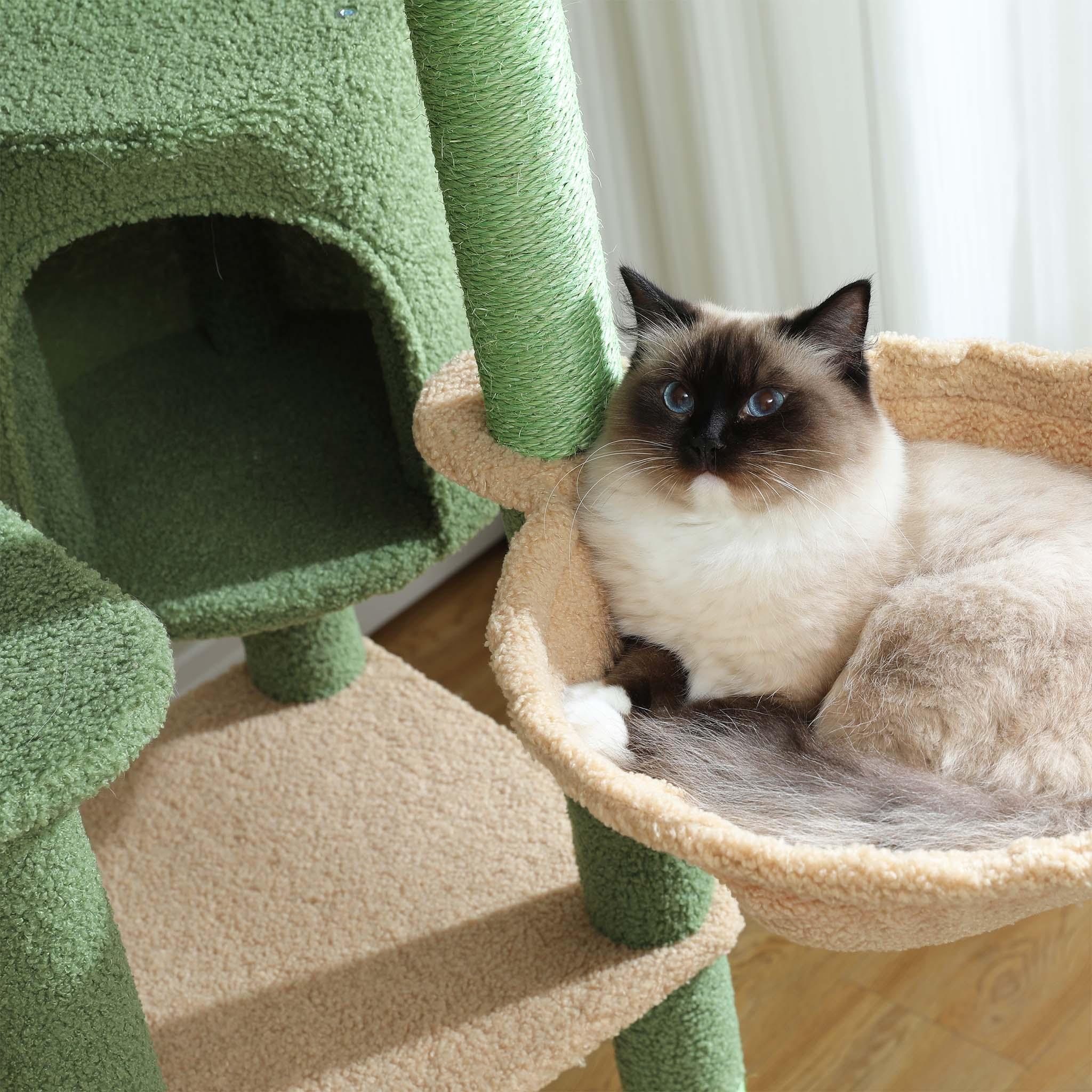CatLife – Großer Kratzbaum 4