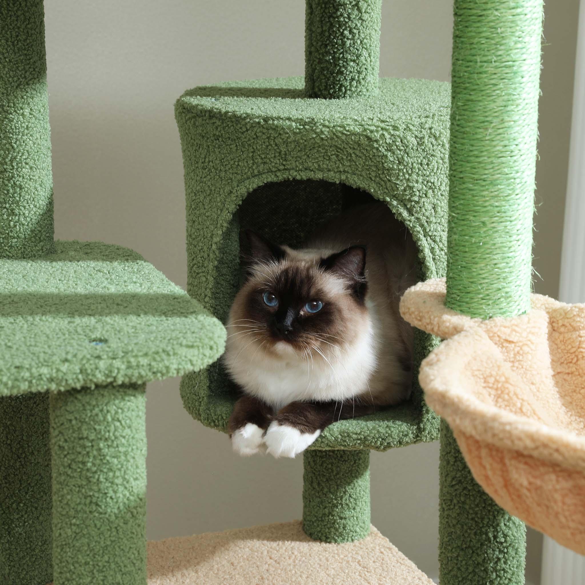CatLife – Großer Kratzbaum 5