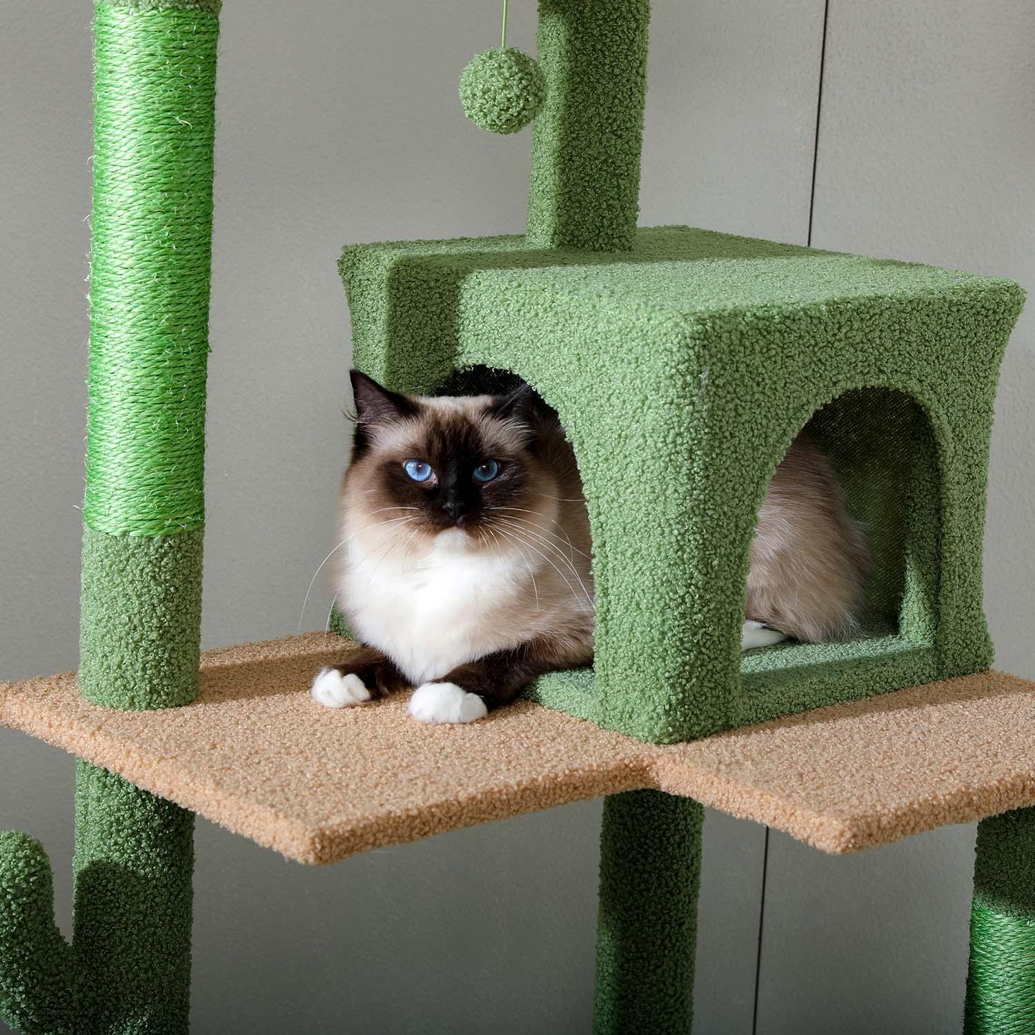 ClawCastle Großer Kratzbaum 4