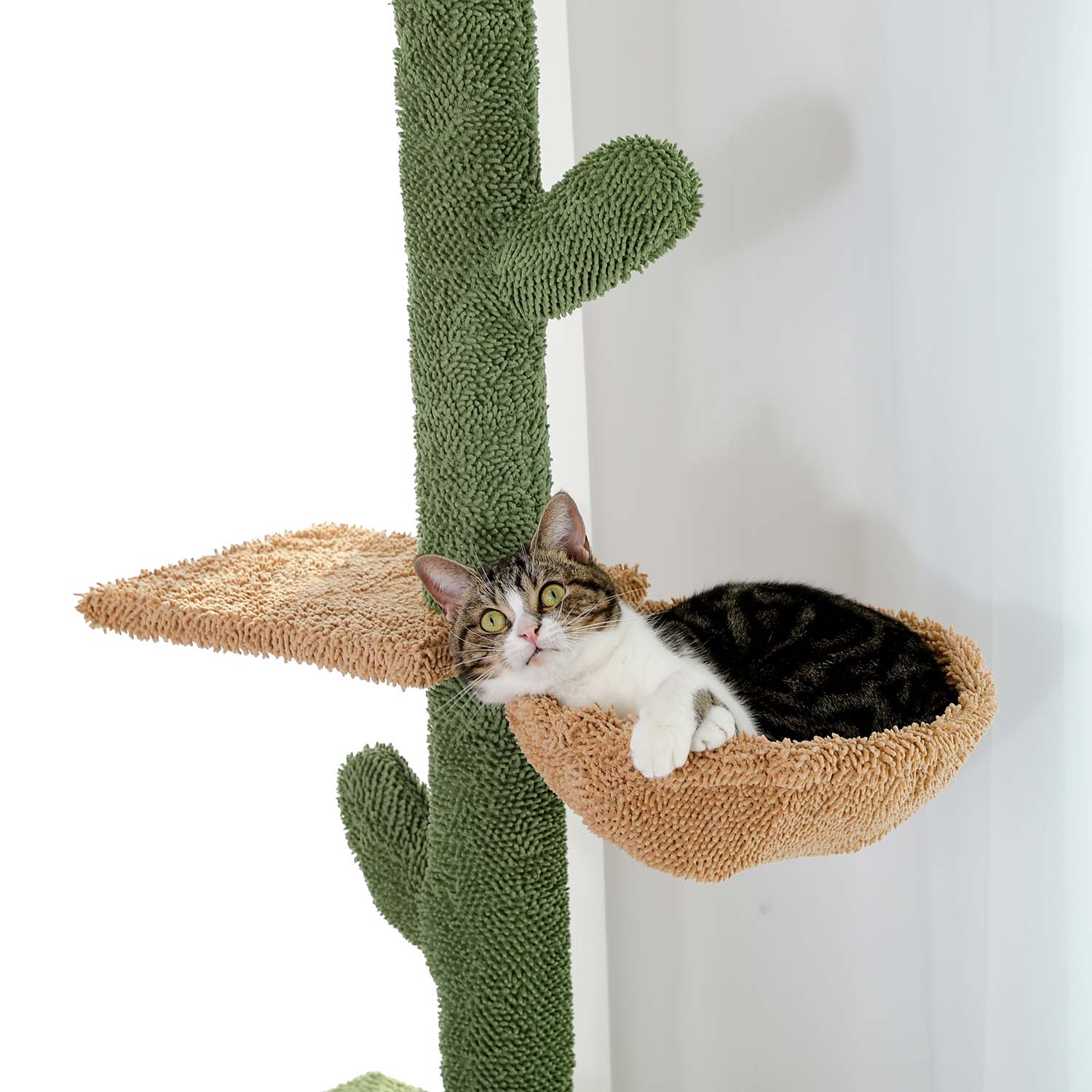 Vom Boden bis zur Decke reichender Katzenturm mit Abwechslung