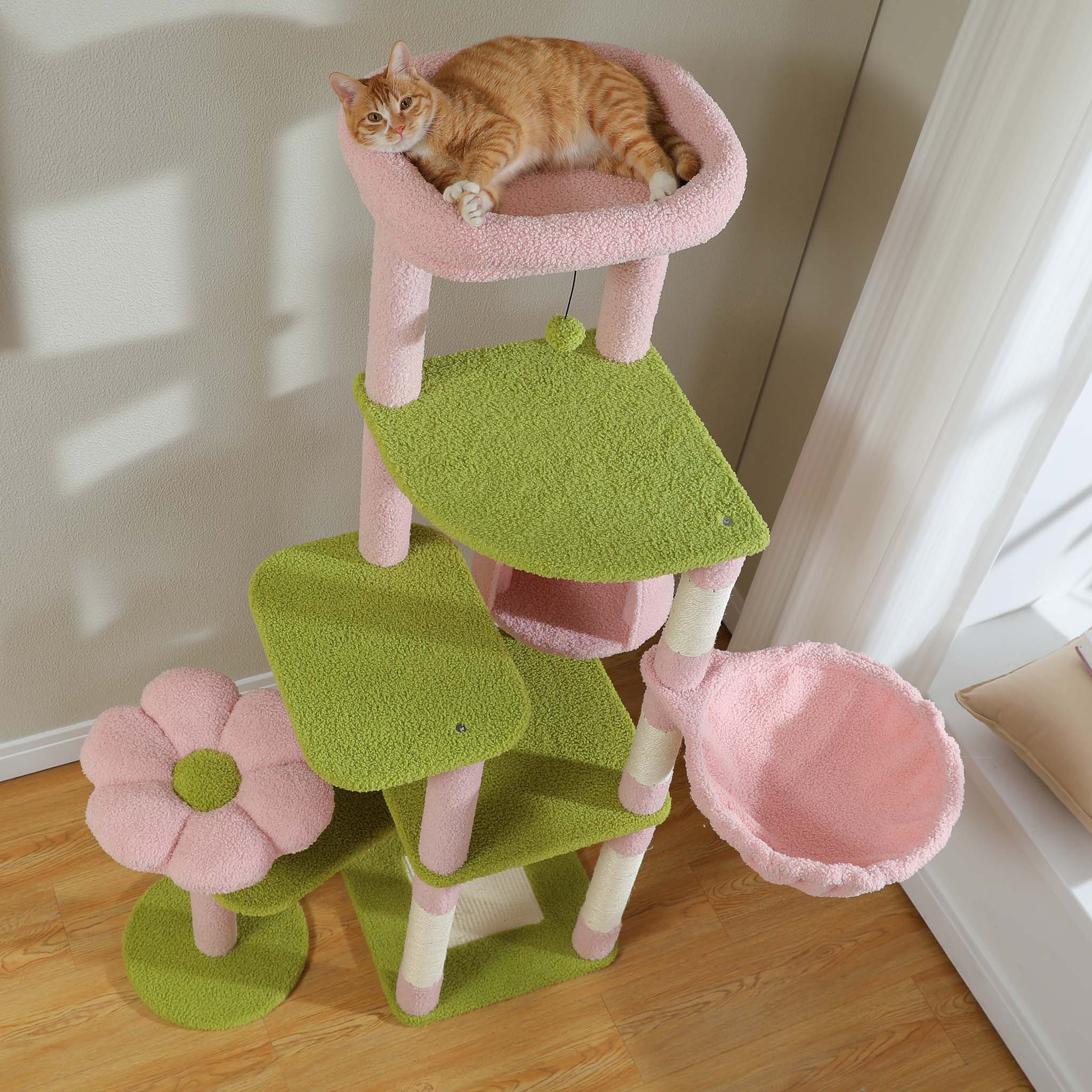 Mehrere Ebenen für eine oder mehrere Katzen
