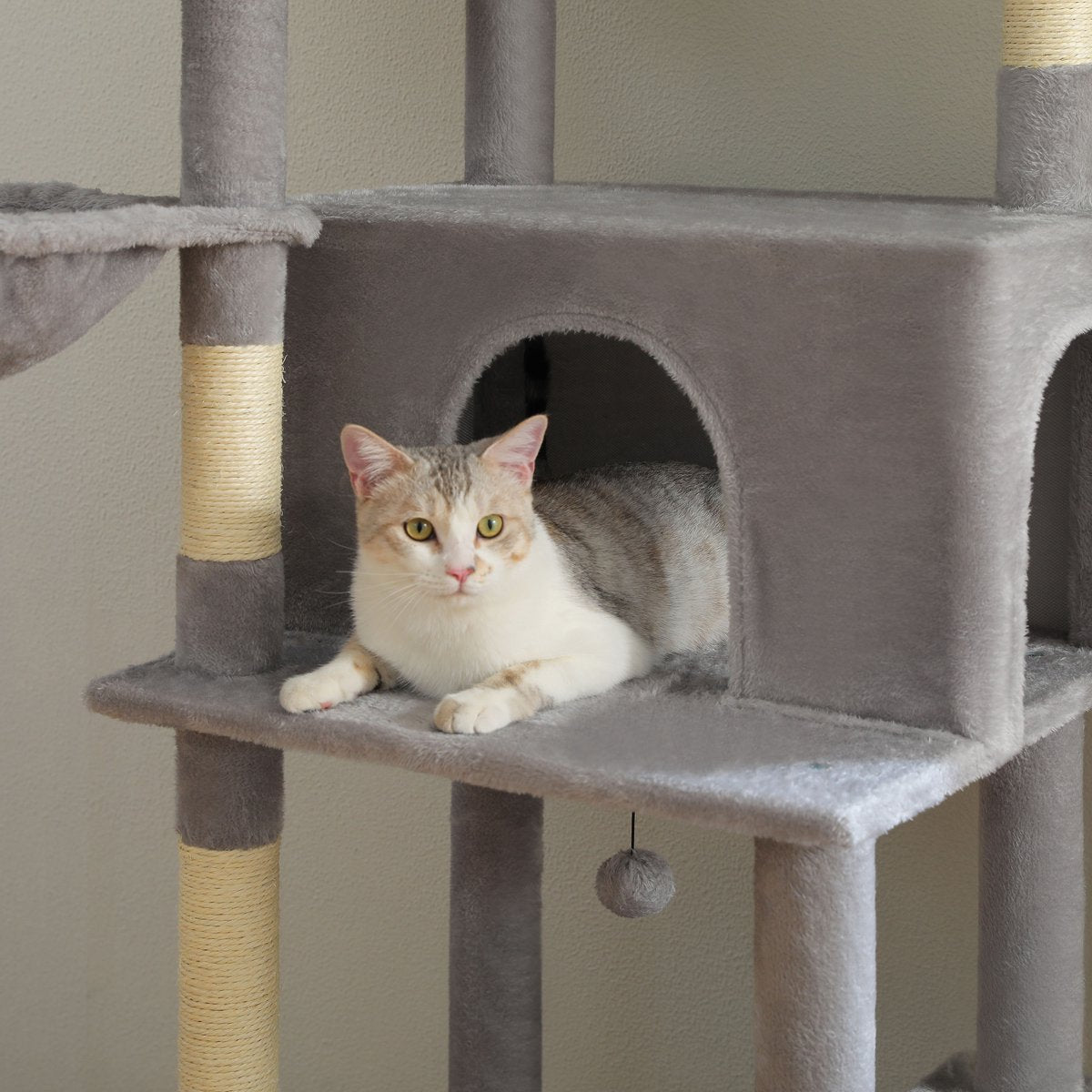 Großer Katzenkratzbaum für große Rassen