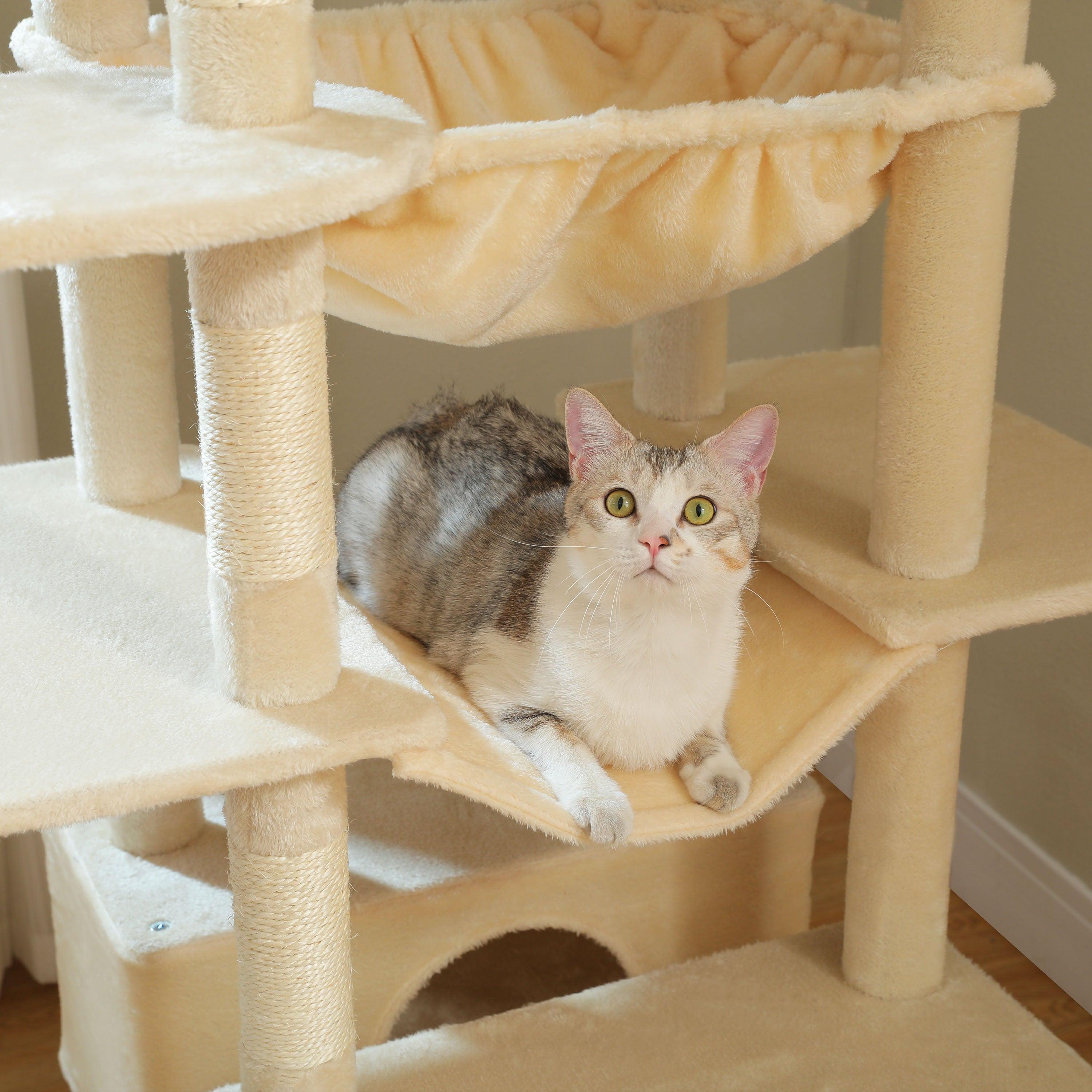 Ideal für große Katzenrassen