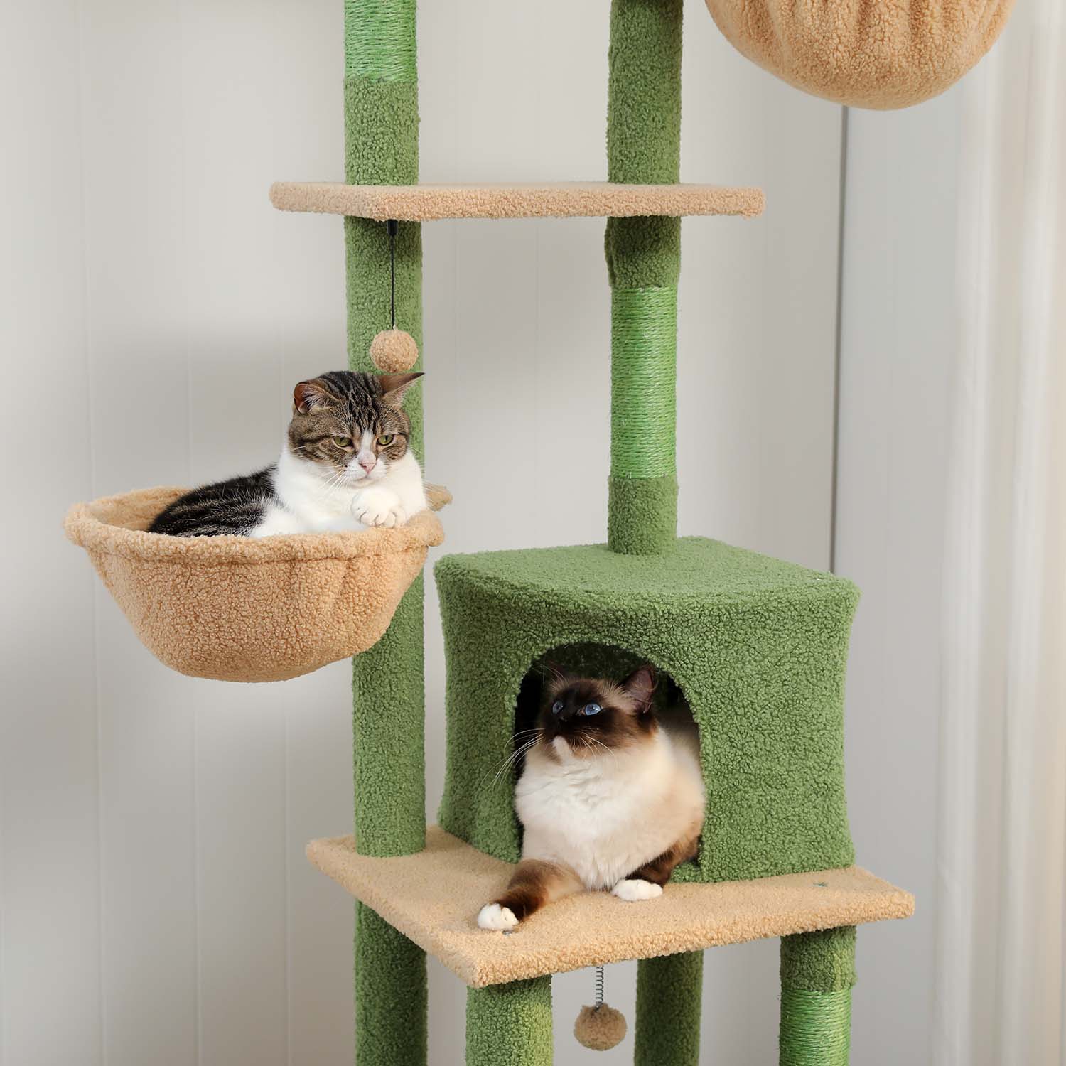 Hält Katzen fit, glücklich und unterhalten