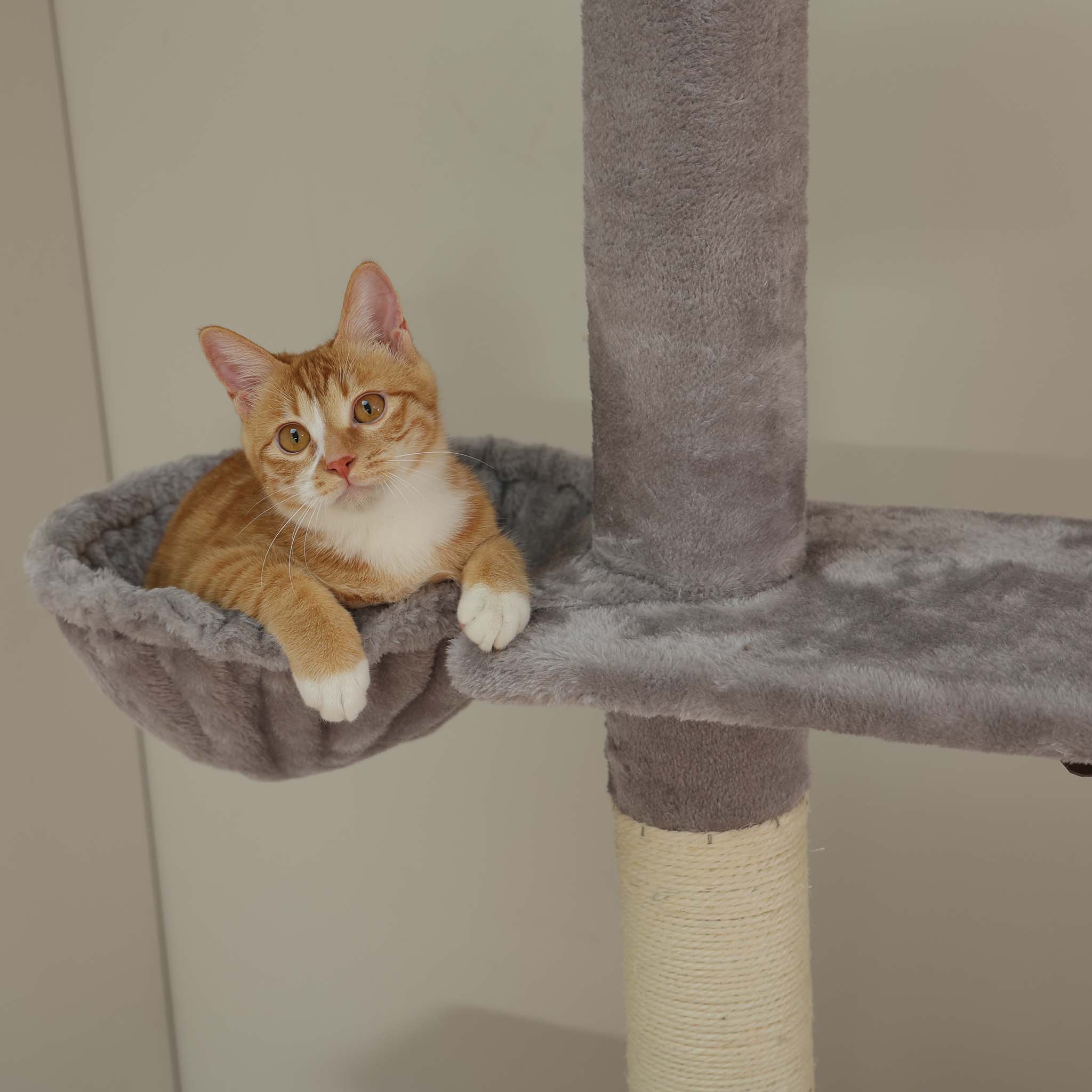 Platzsparendes Design für mehrere Katzen