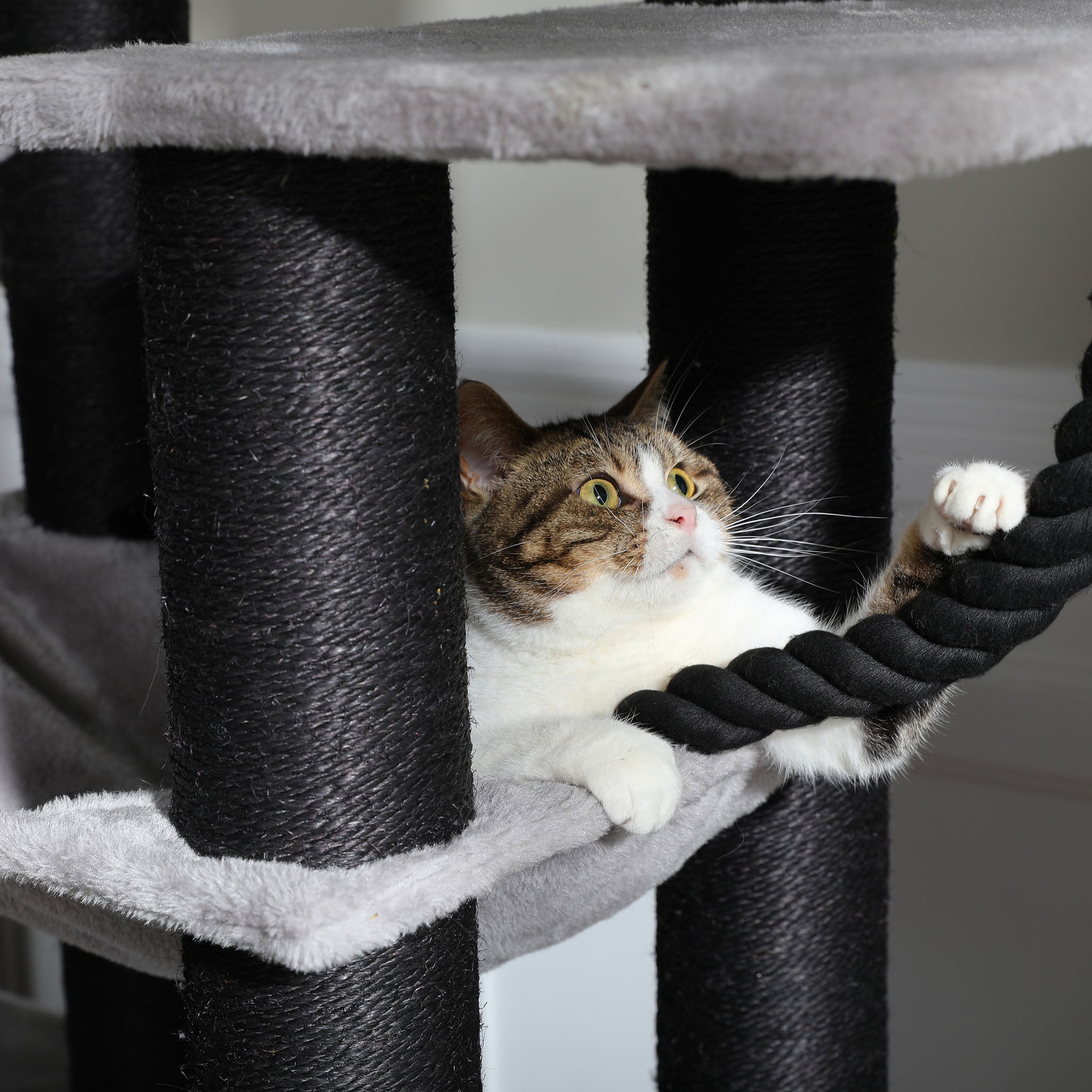 Extra starker Kratzbaum für Katzen mit langlebigen Materialien