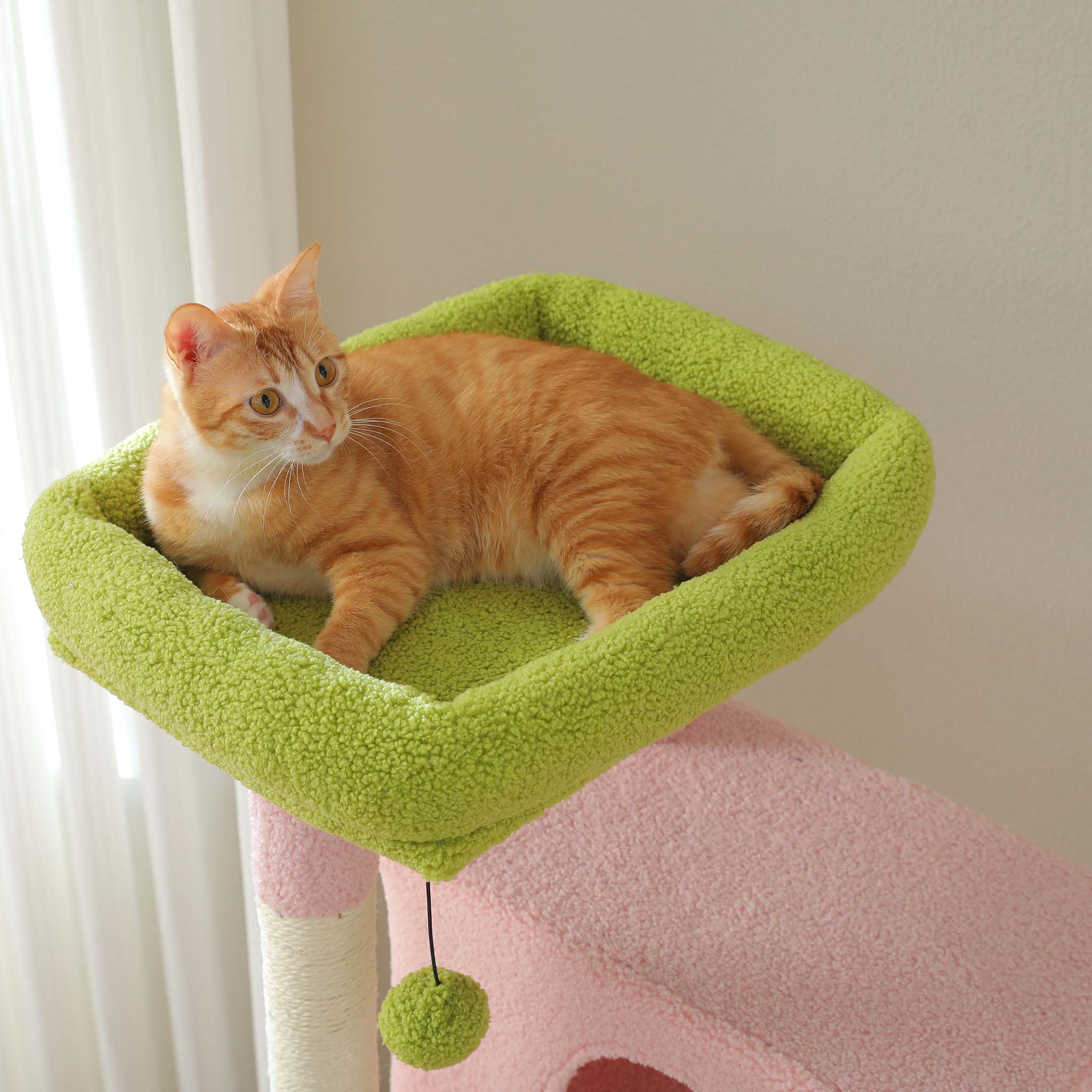 Warum solltest du dich für den PurrFect-Kratzbaum entscheiden?