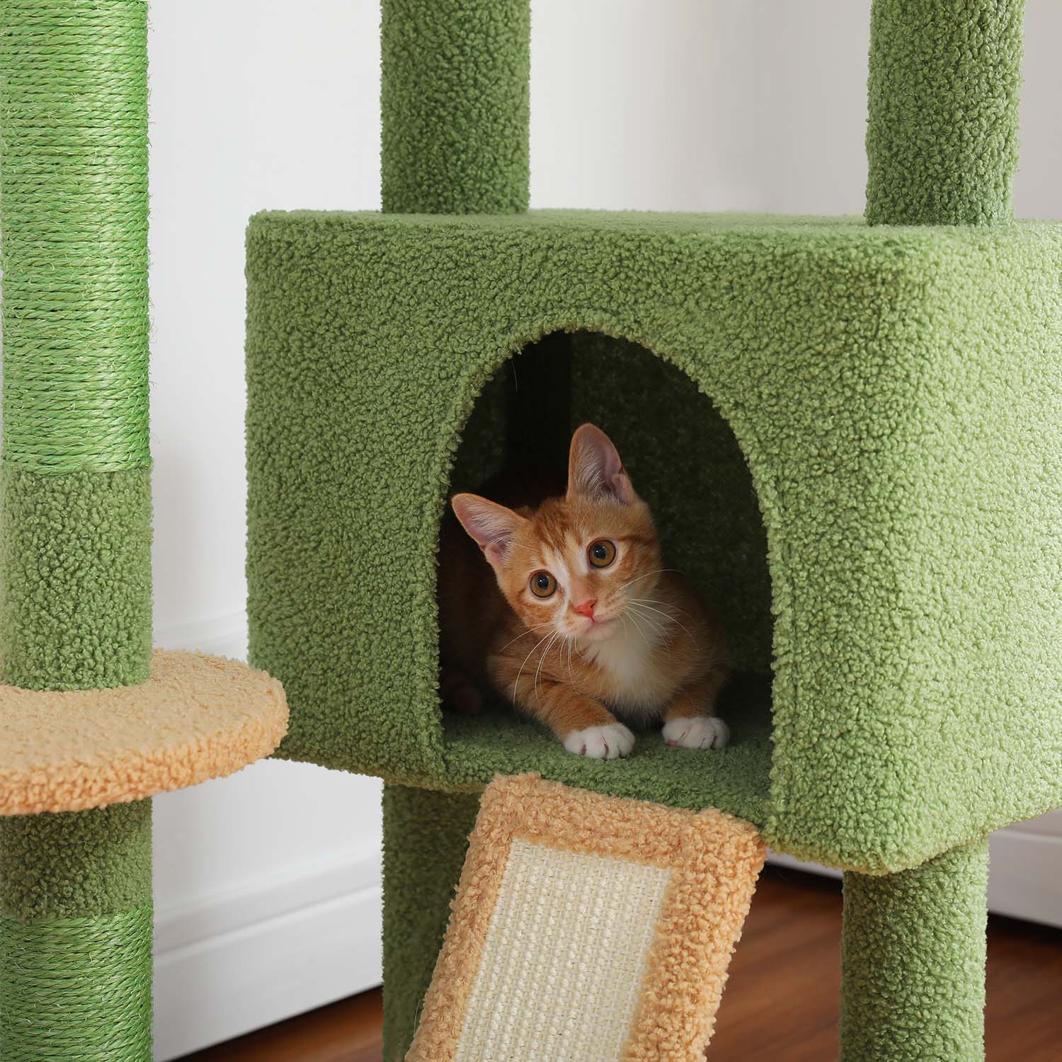 Hält deine Katze fit, glücklich und aktiv