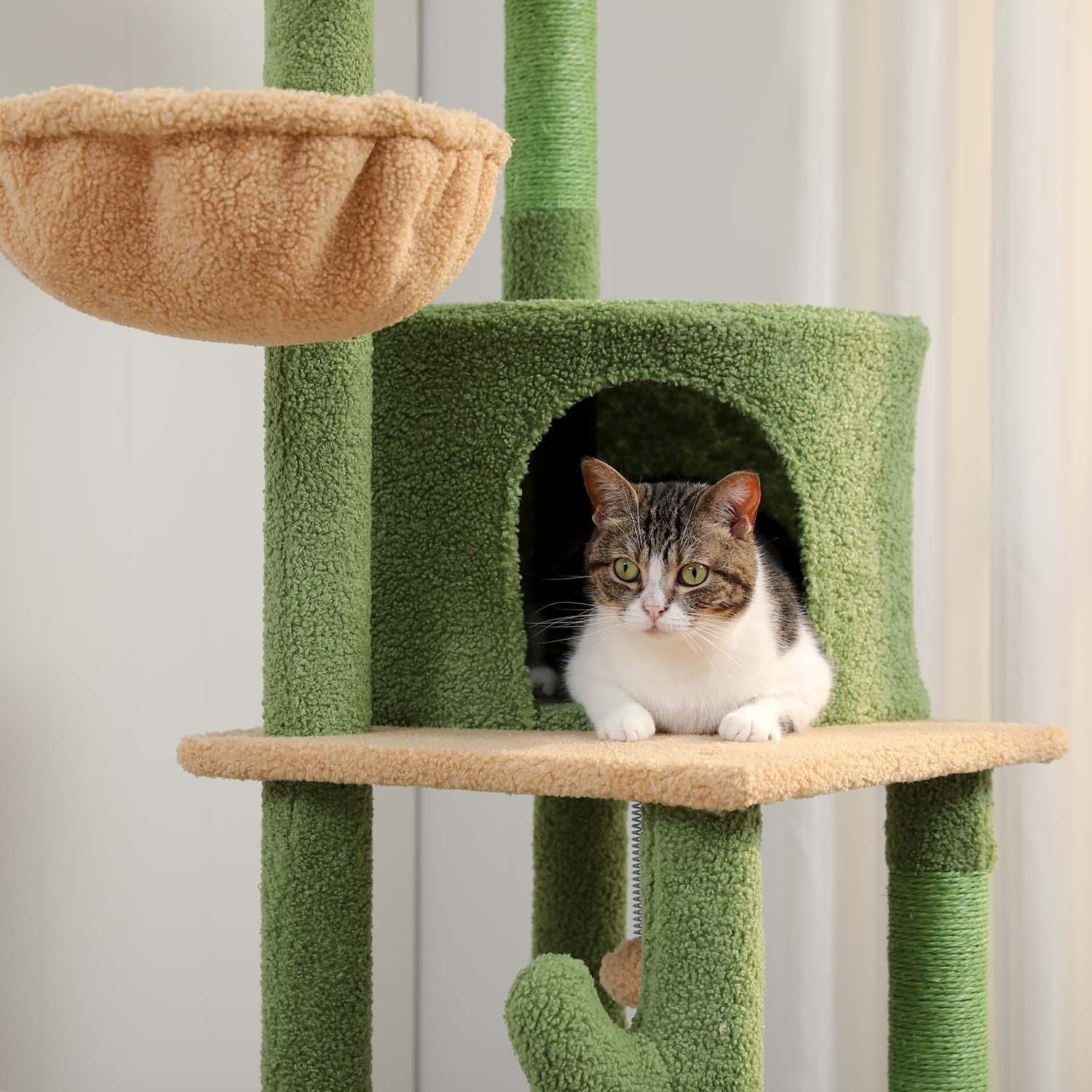 DoubleTower Deckenhoher Kratzbaum 4
