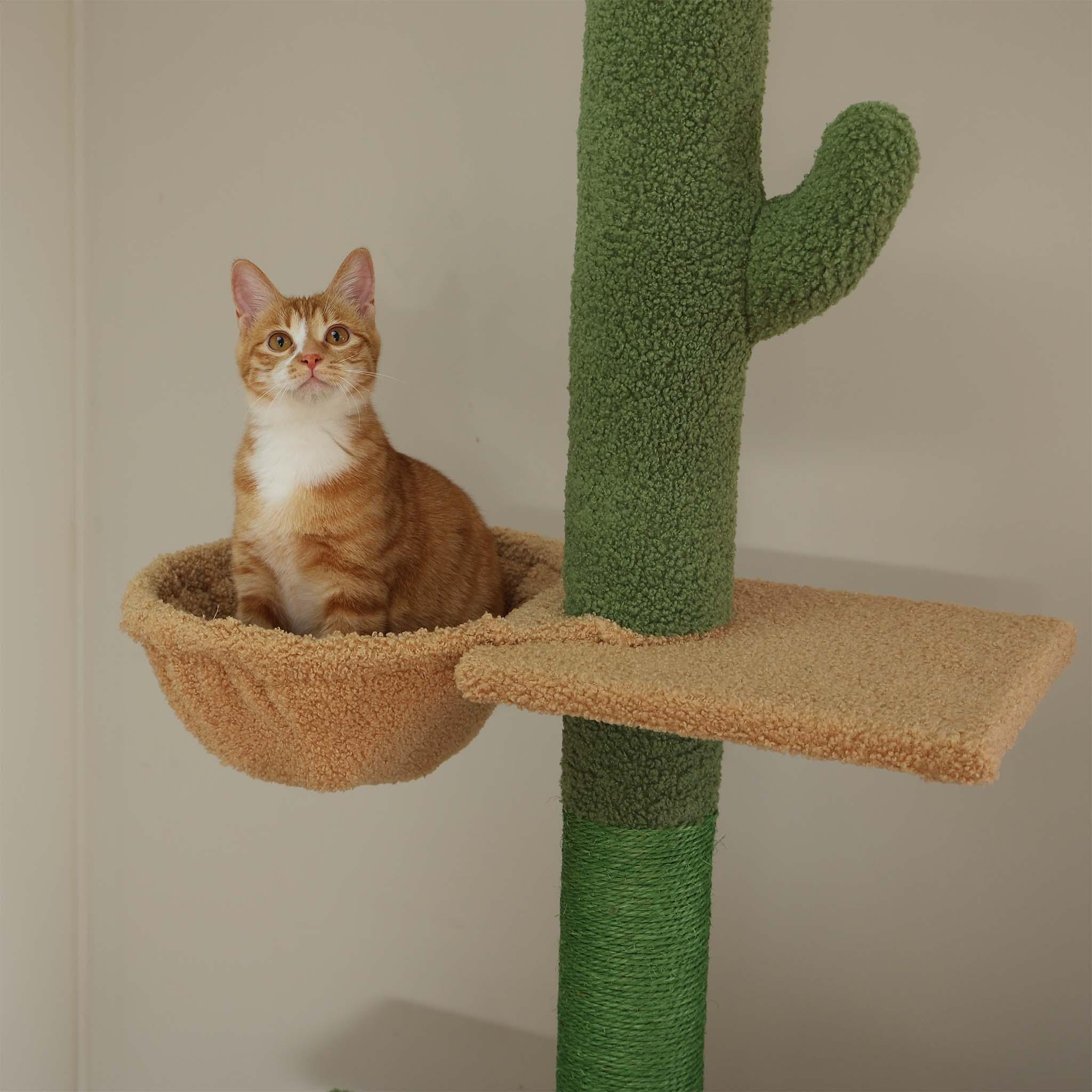 FlowerTower Deckenhoher Kratzbaum 5