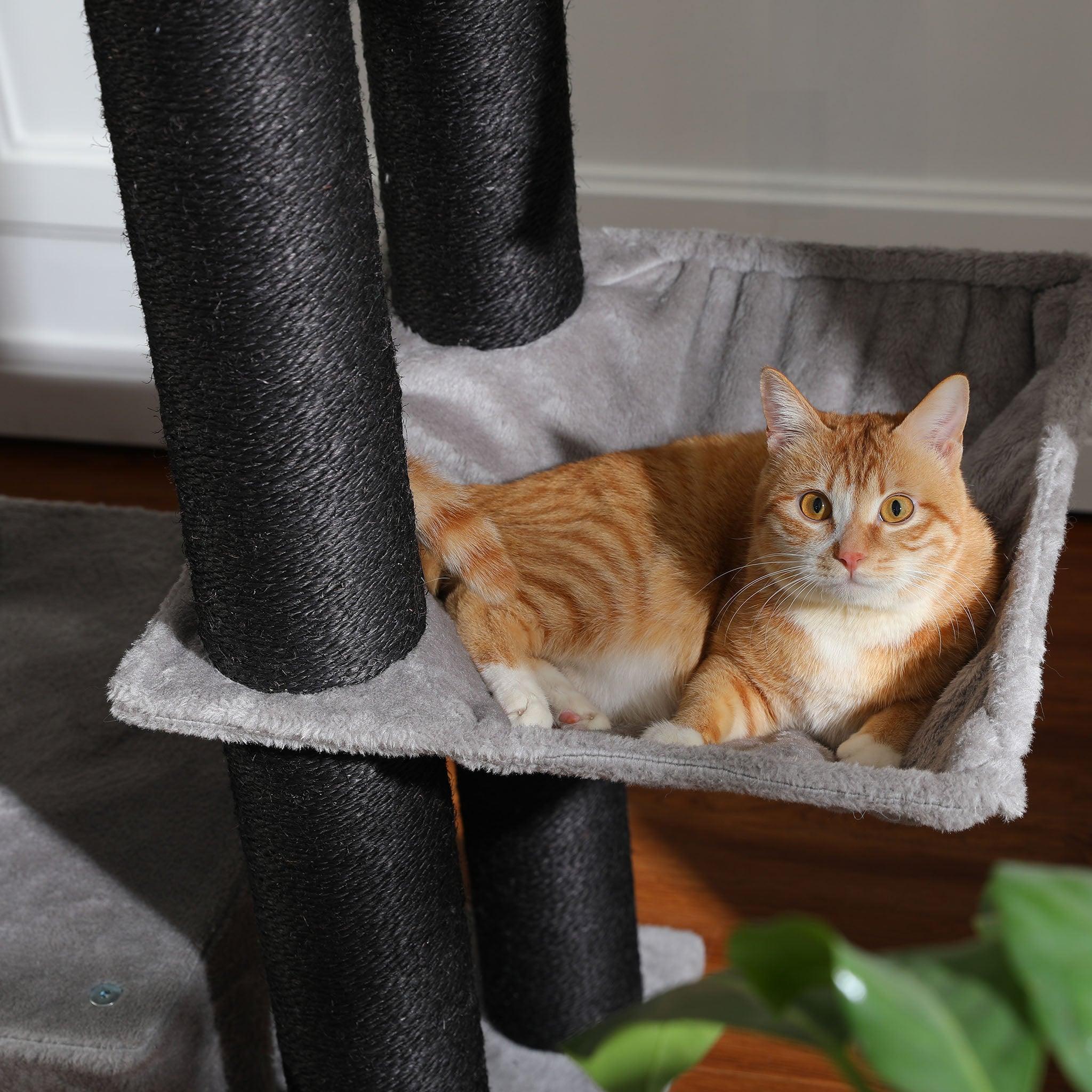 KittyKingdom Großer Kratzbaum 3