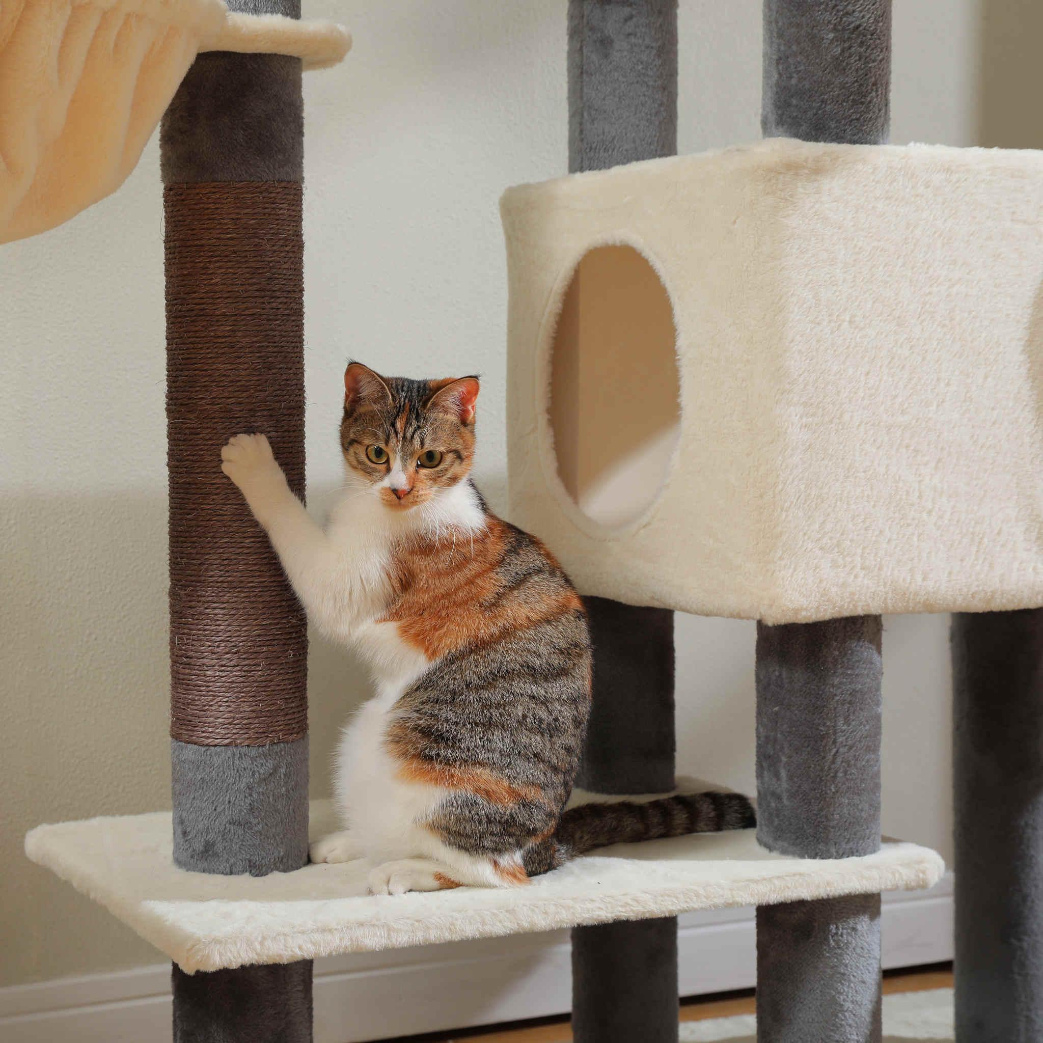 KittyKingdom XXL – Großer Kratzbaum 14