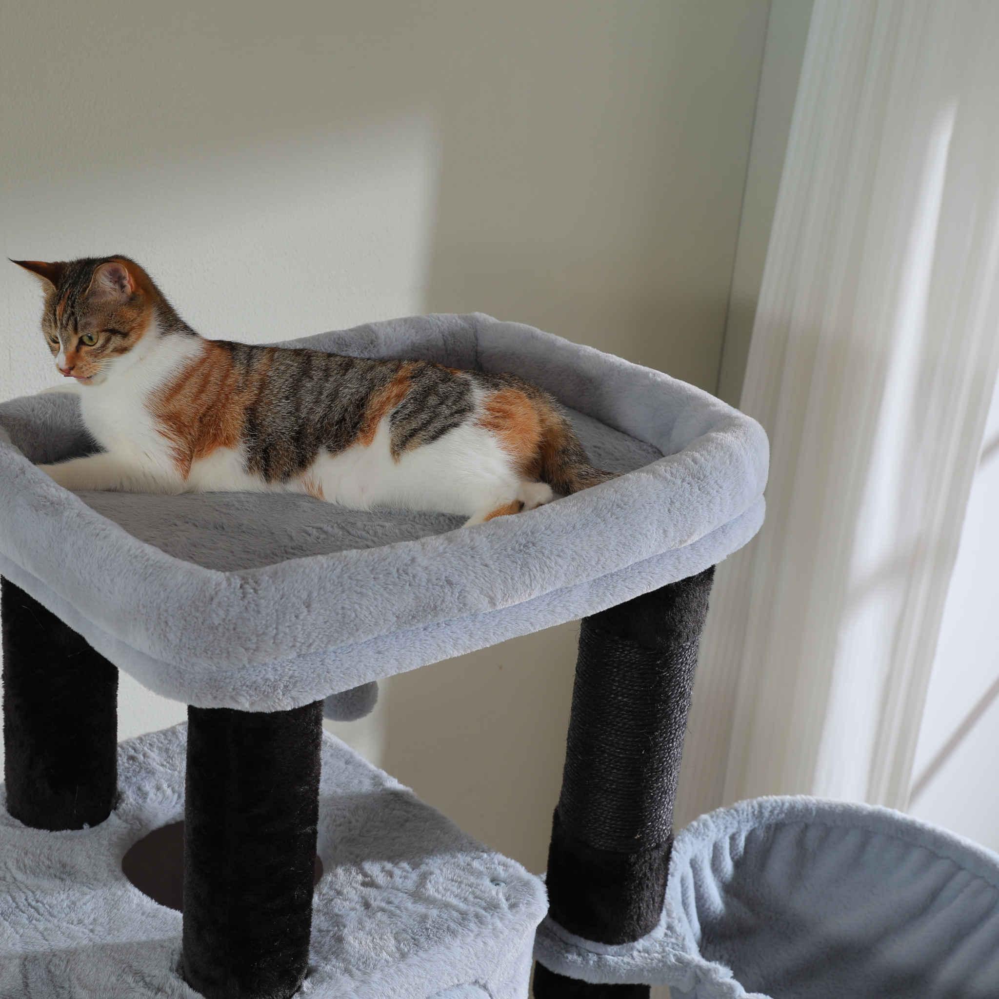 KittyKingdom XXL – Großer Kratzbaum 6