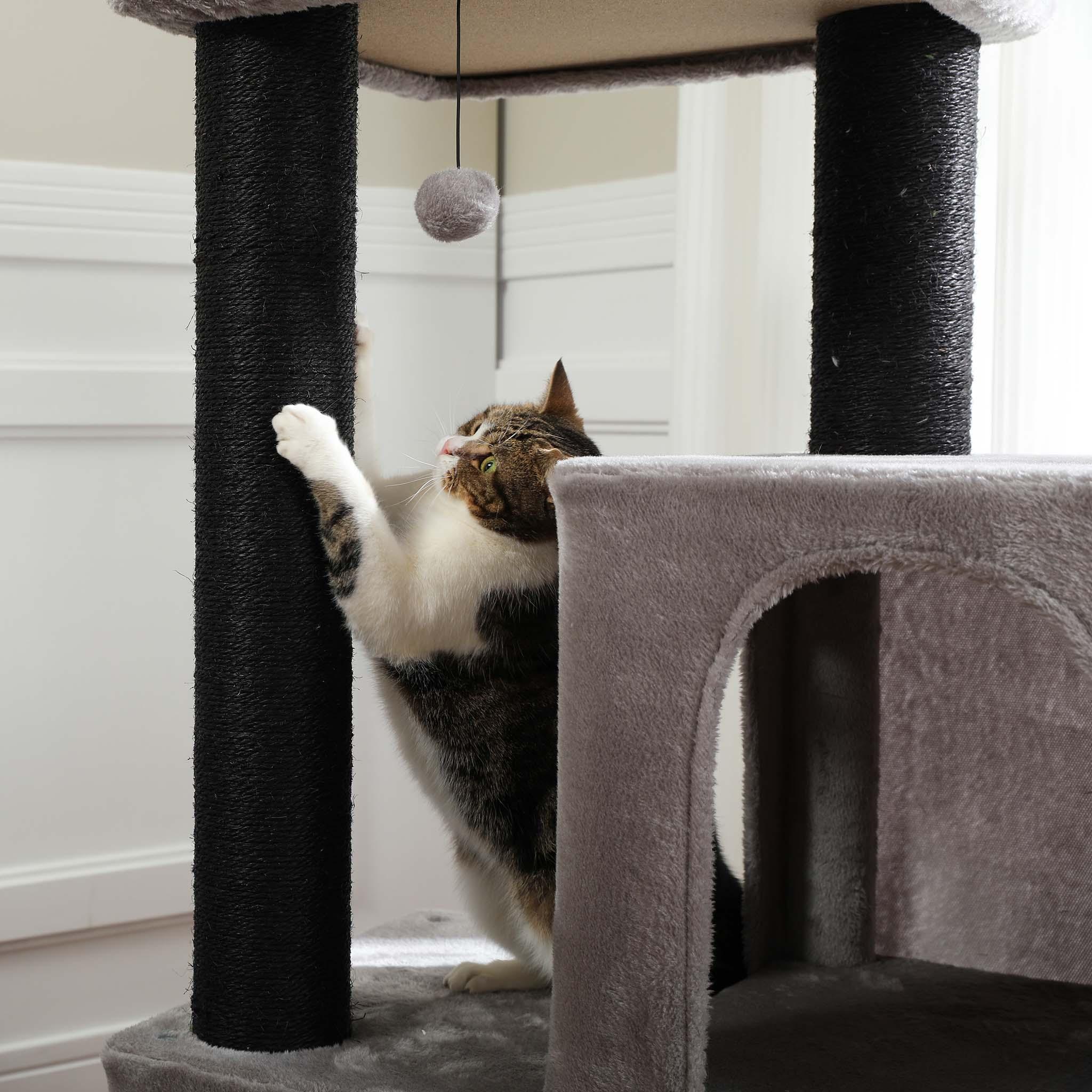 KittyPalace Kleiner Kratzbaum 3