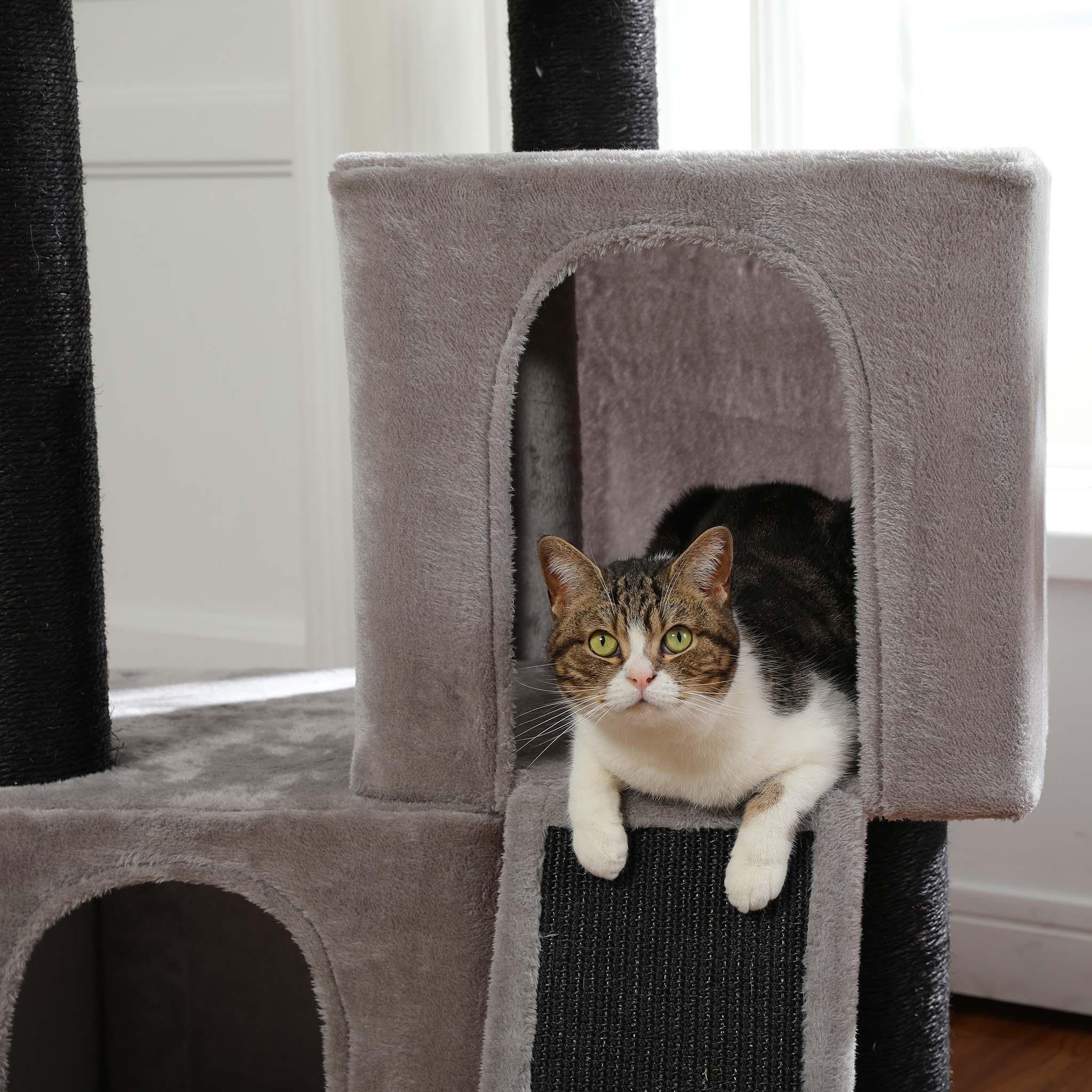 KittyPalace Kleiner Kratzbaum 4