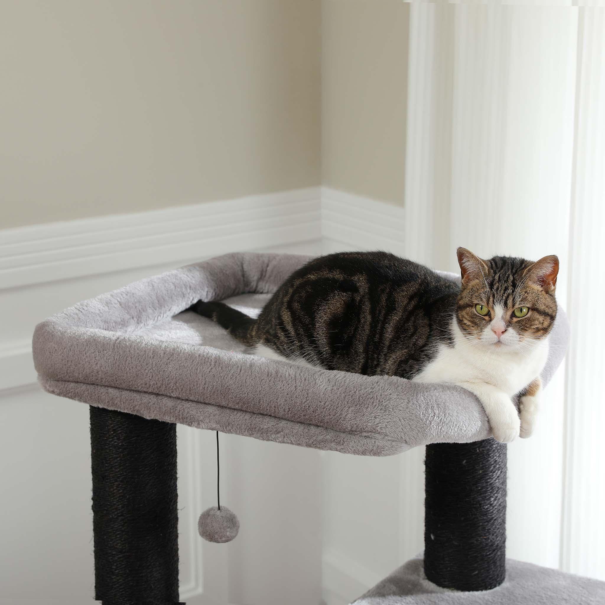 KittyPalace Kleiner Kratzbaum 5