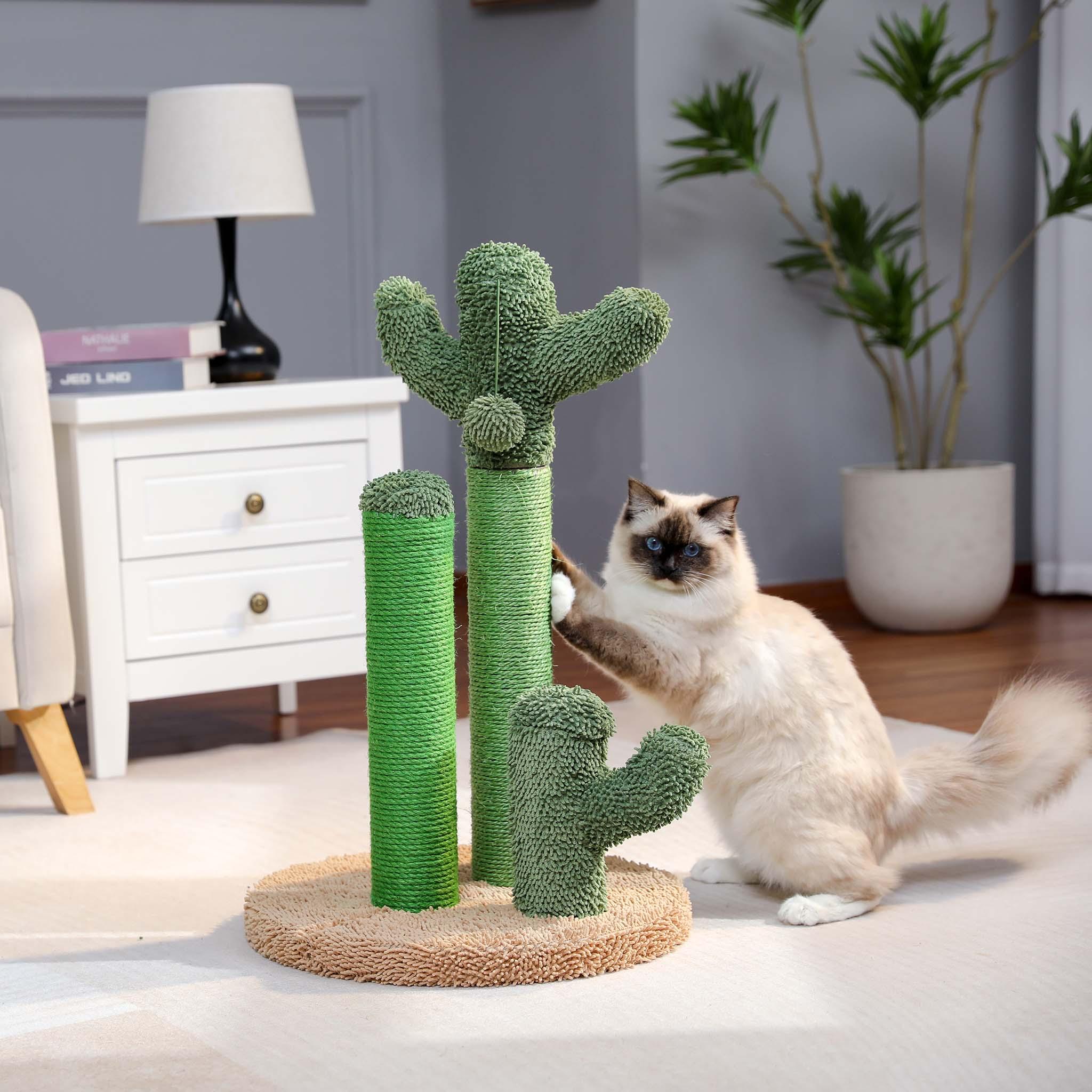LittleCactus Kleiner Kratzbaum 2